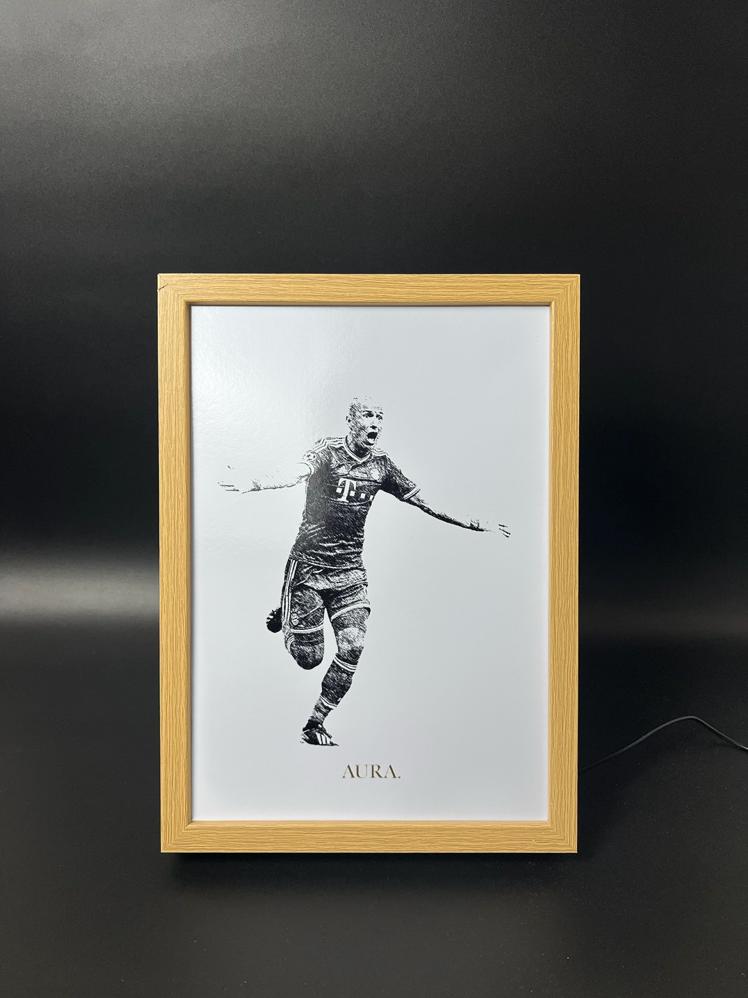 ROBBEN - CL FINAL 2013
